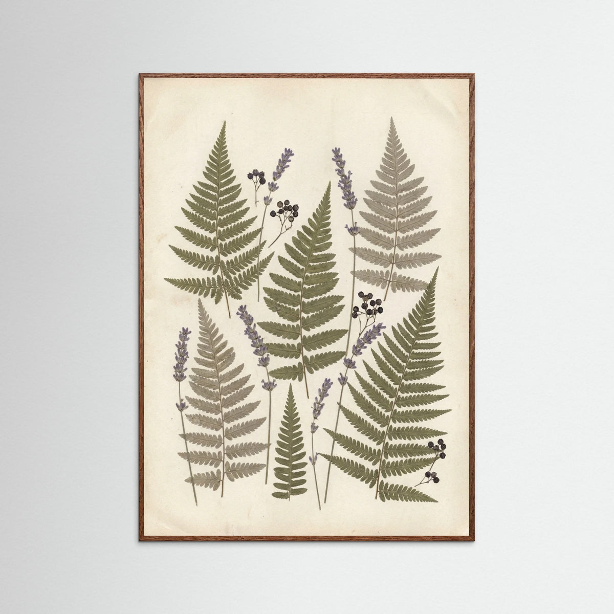 Oak Dark Pressed Botanicals
