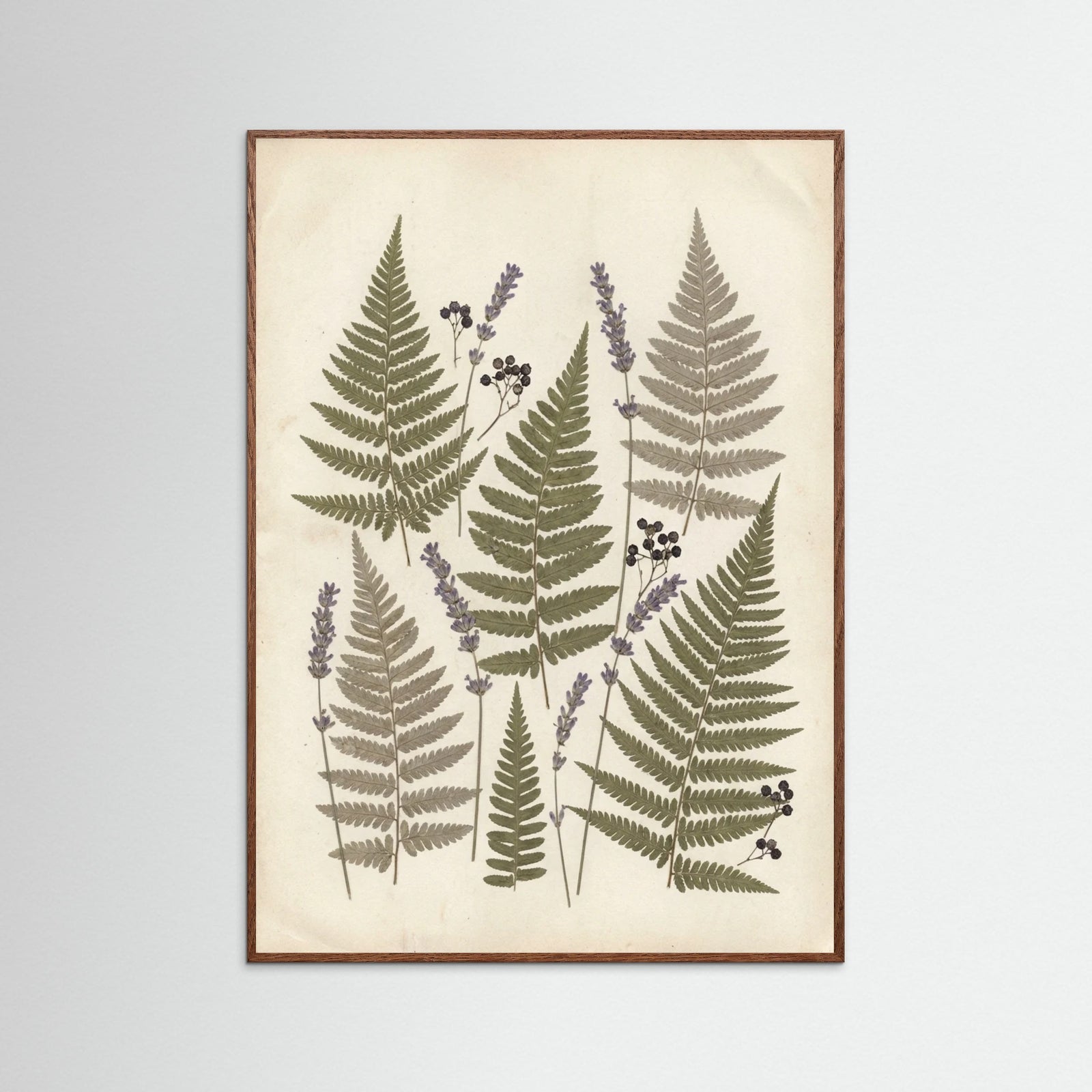Oak Dark Pressed Botanicals