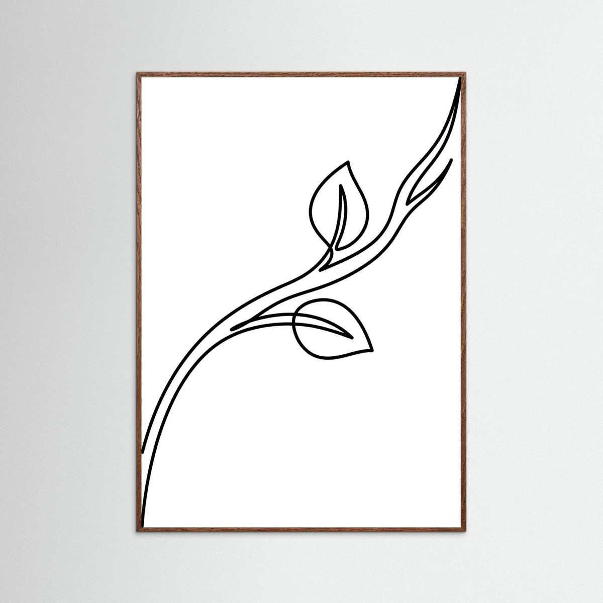 Oak Dark Quiet Contours