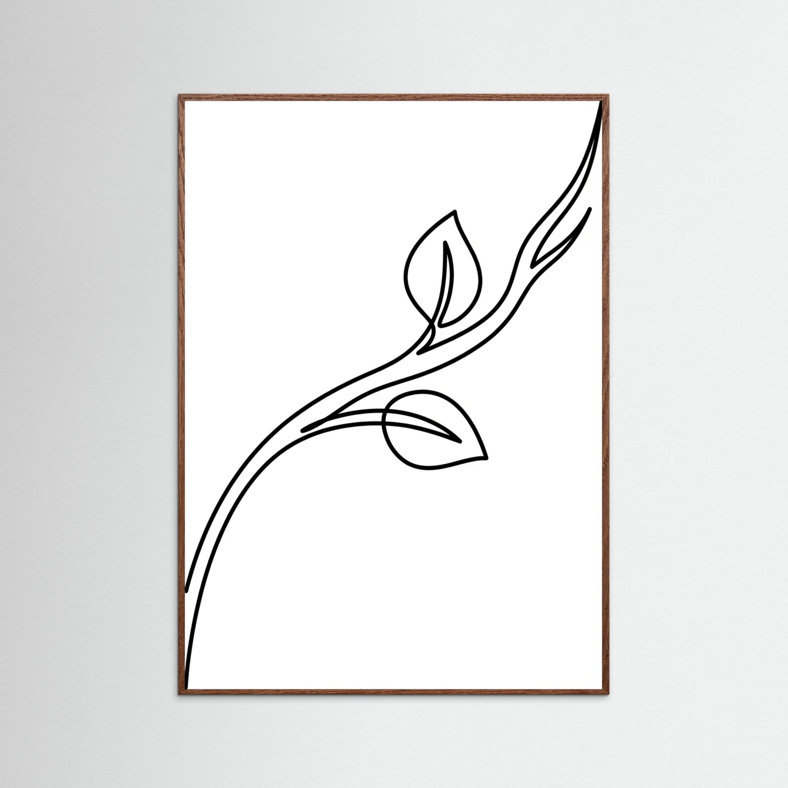 Oak Dark Quiet Contours