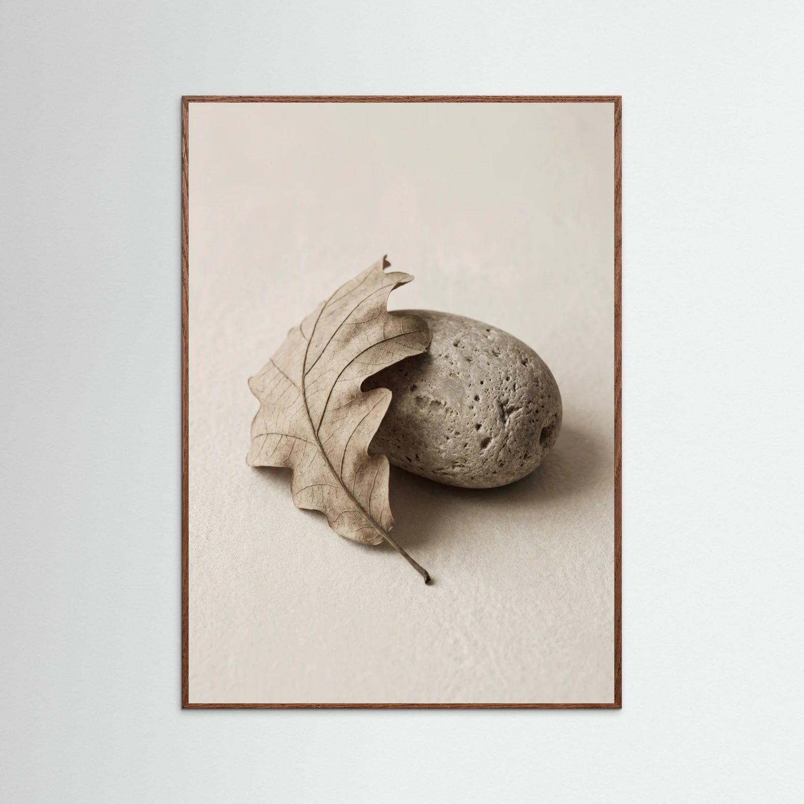 Oak Dark Quiet Gourd Study