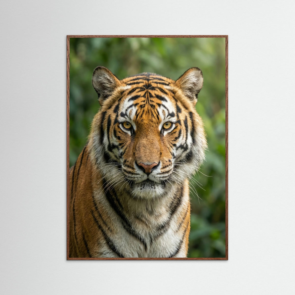 Oak Dark Regal Lion Portrait