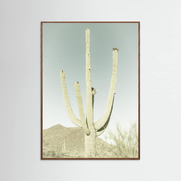 SAGUARO NATIONAL PARK Vintage Giant Saguaro -juliste – juliste ja taidepainatus