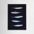 Affiche Sardines – affiche et impression d’art