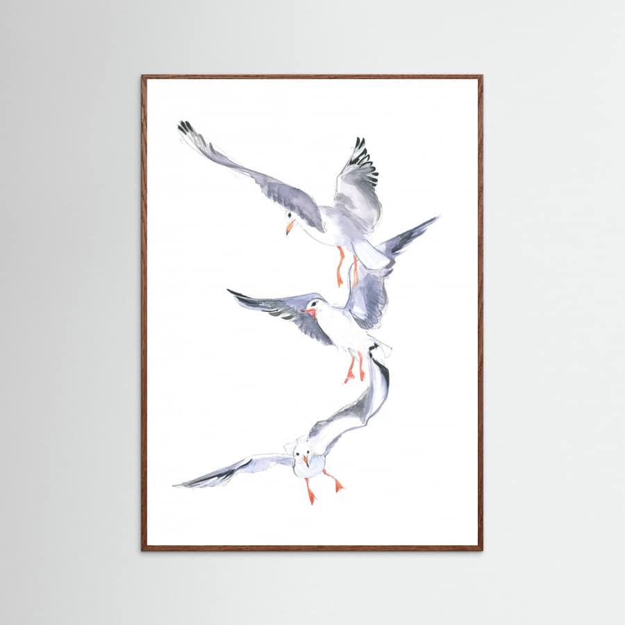 Poster Seagull Flight – poster e stampa artistica