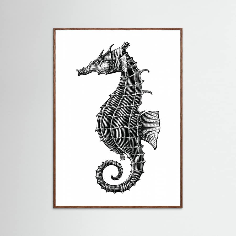 Affiche Seahorse – affiche et impression d’art