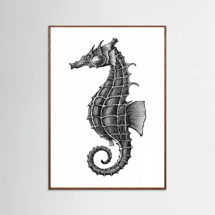 Affiche Seahorse – affiche et impression d’art