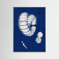 Póster Seashell Ornaments – póster e impresión artística