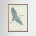 Oak Dark Serene Flight