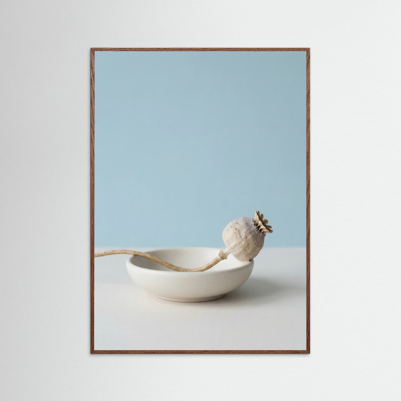 Oak Dark Serene Foliage