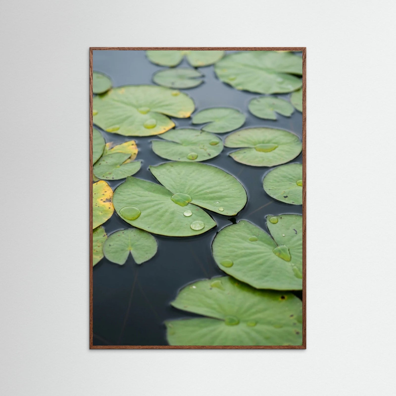 Oak Dark Serene Lilies