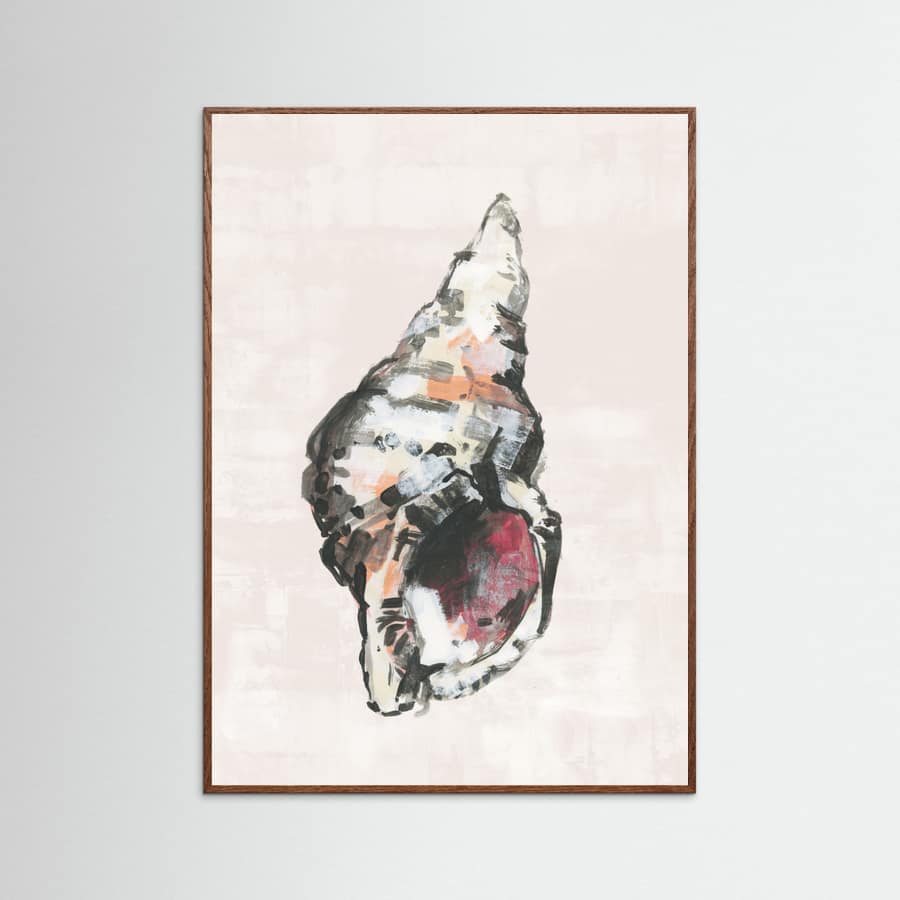 Plakat Shell Collector Art Print No 2 – plakat i druk artystyczny