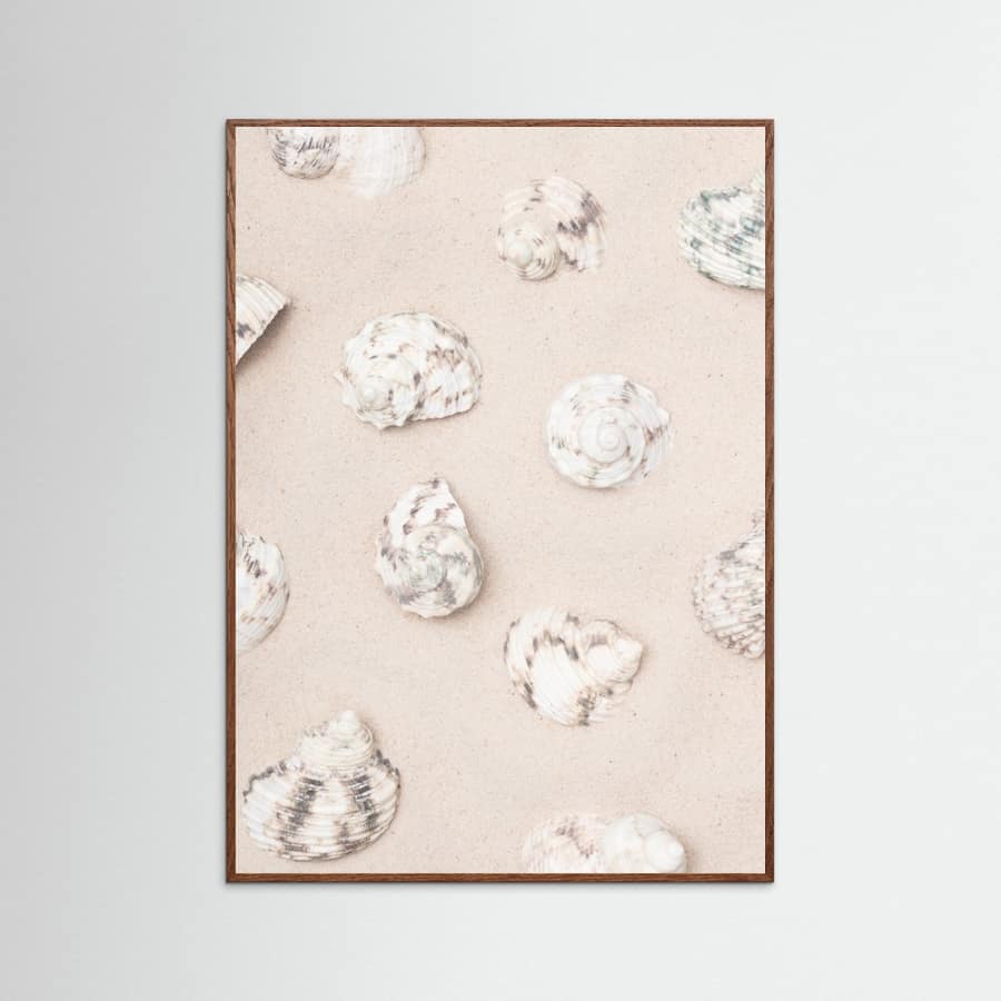 Shells_2 Poster – Poster und Kunstdruck