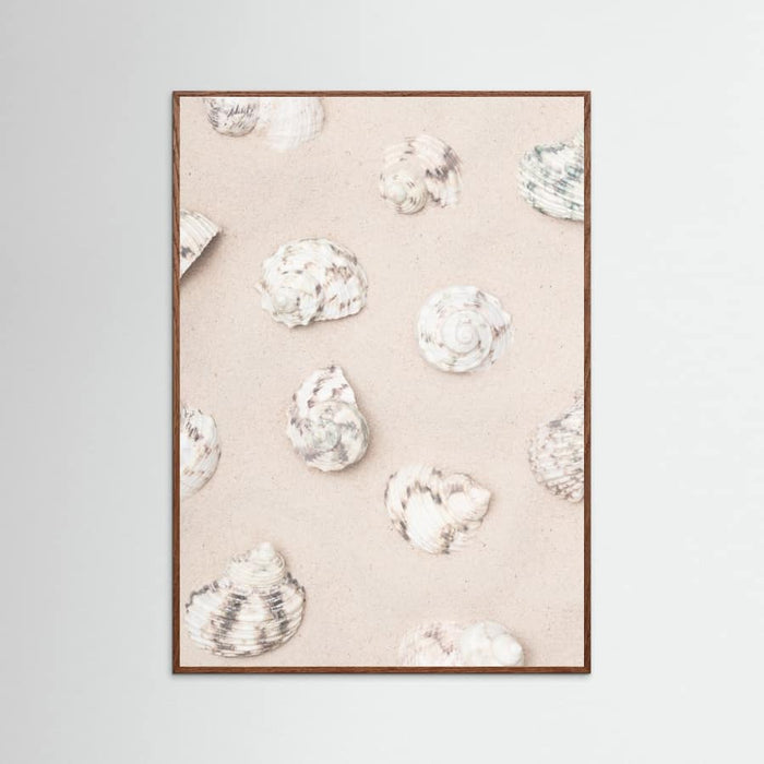 Shells_2 Poster – Poster und Kunstdruck