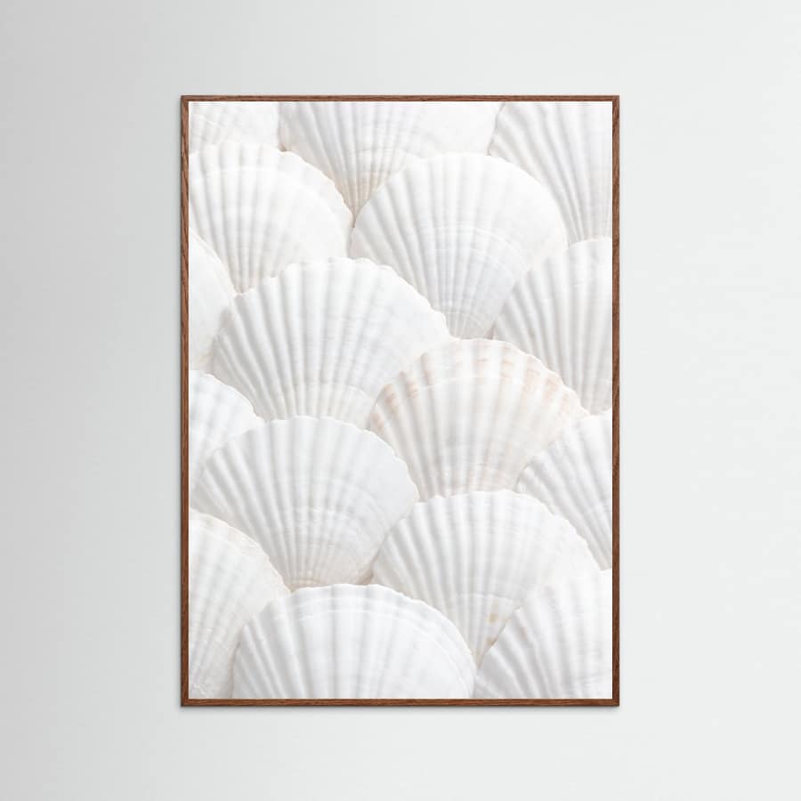 Shells_3 Poster – plakat og kunsttryk