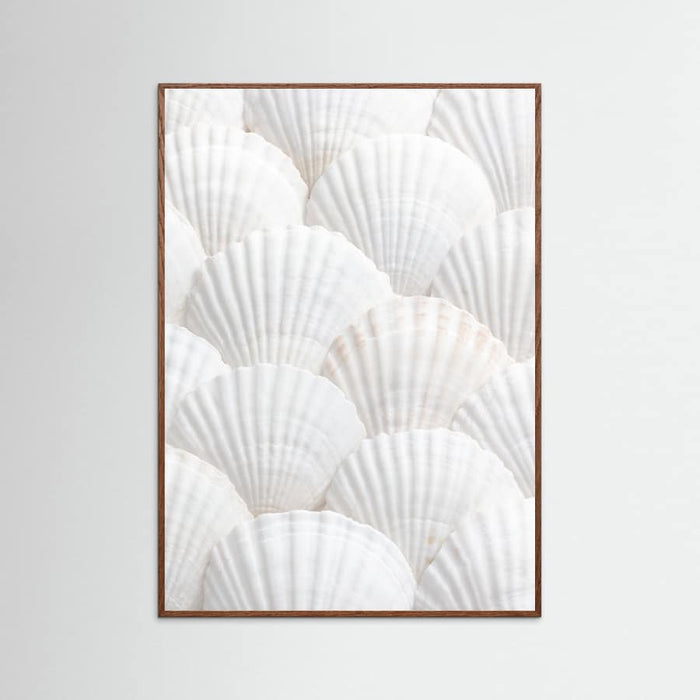 Shells_3 Poster – plakat og kunsttryk