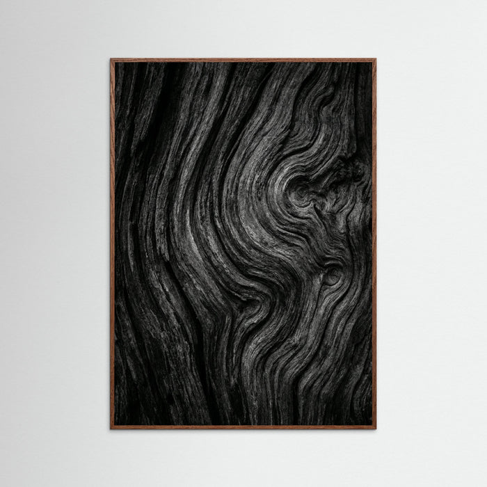 Oak Dark Silent Leaves
