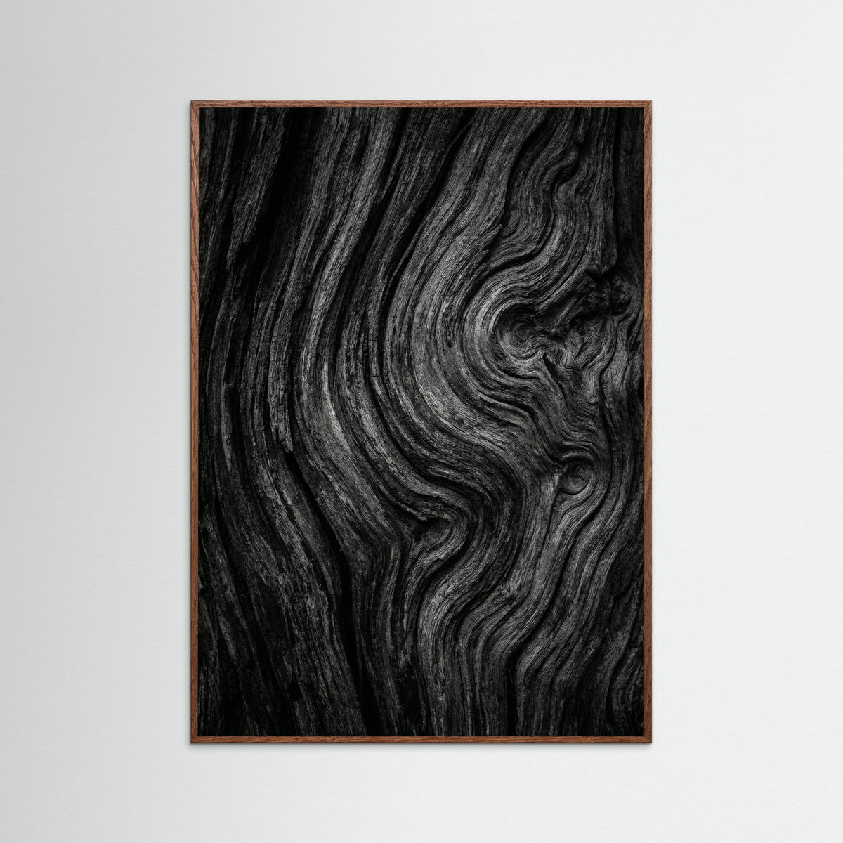 Oak Dark Silent Leaves