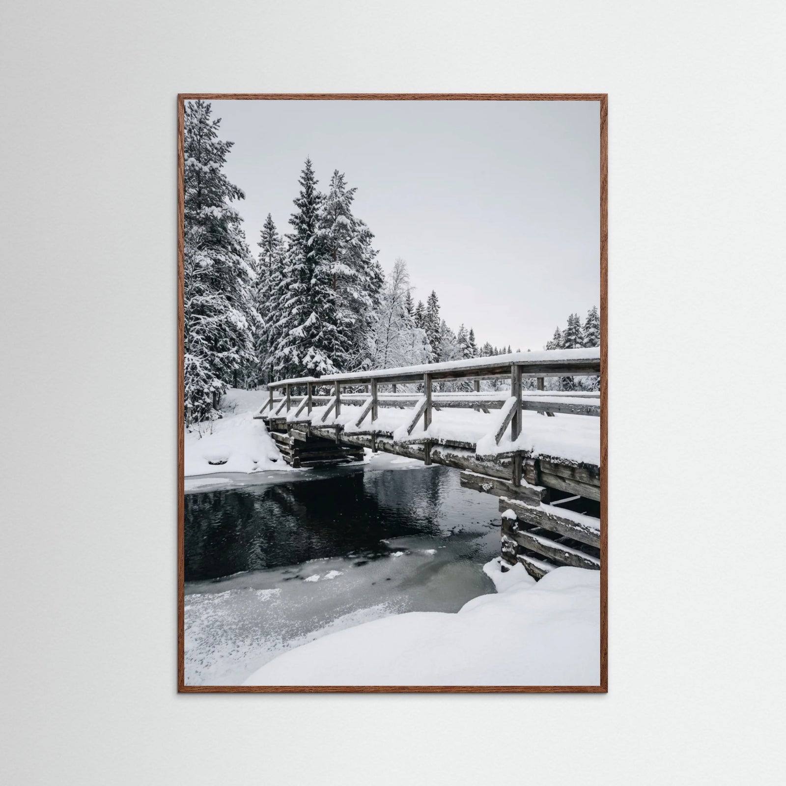 Oak Dark Snowy Sanctuary