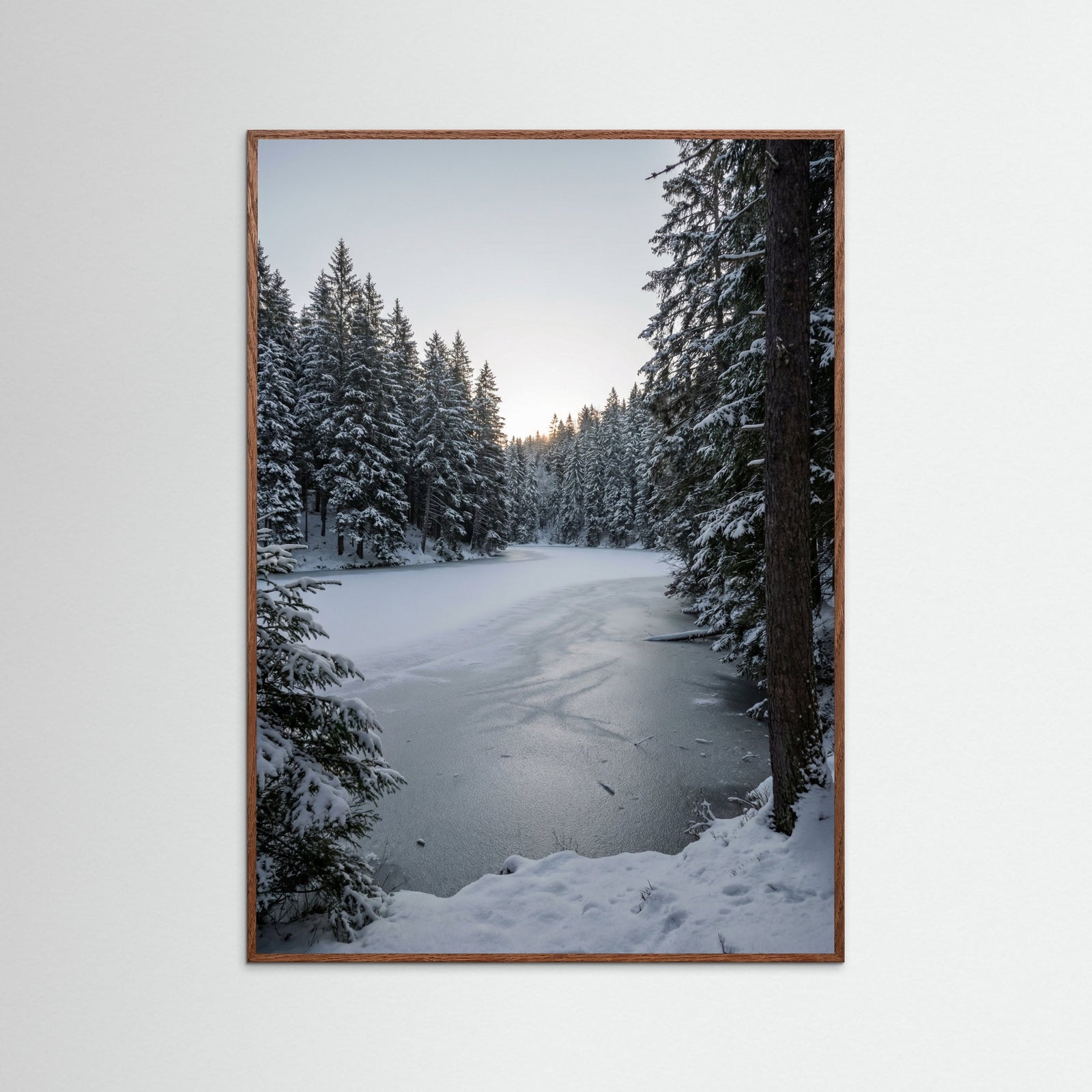 Oak Dark Snowy Timber