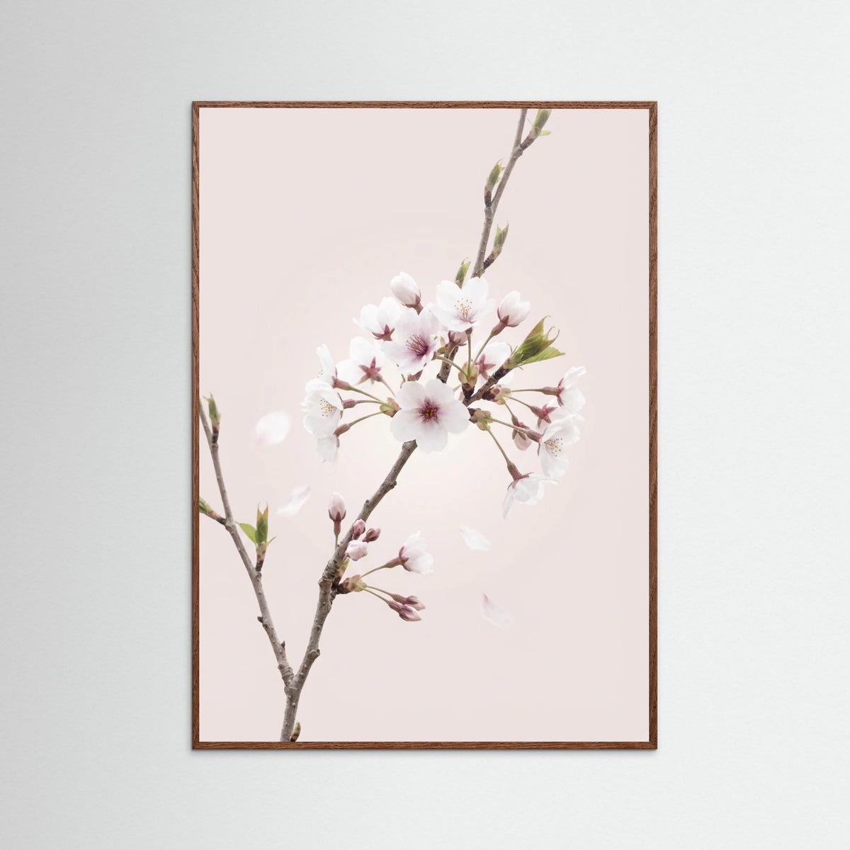 Oak Dark Soft Bloom
