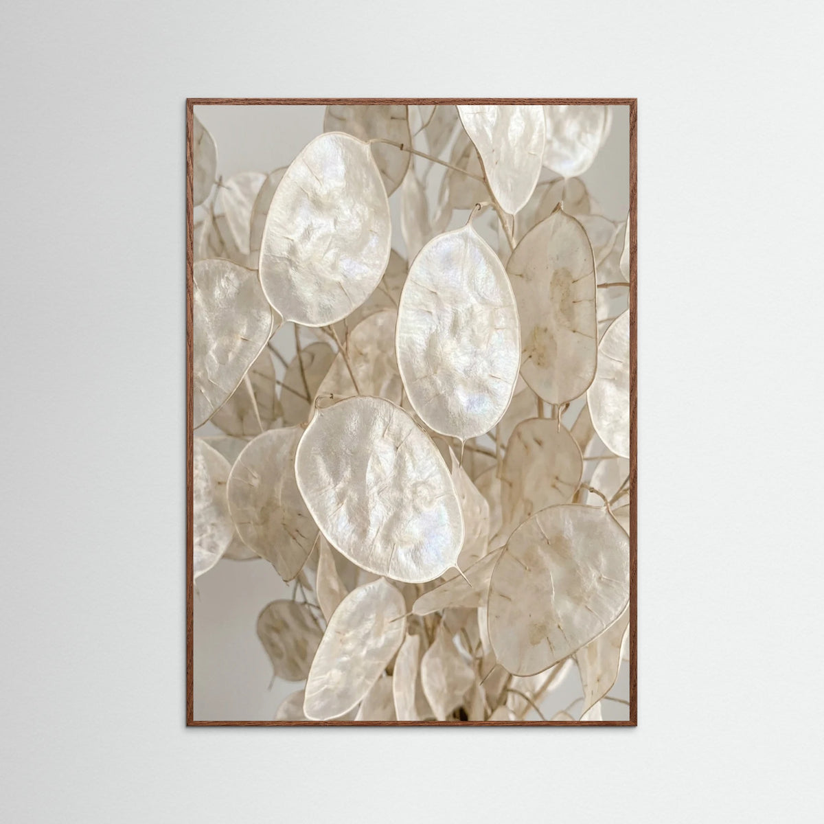 Oak Dark Soft Petal Dreams