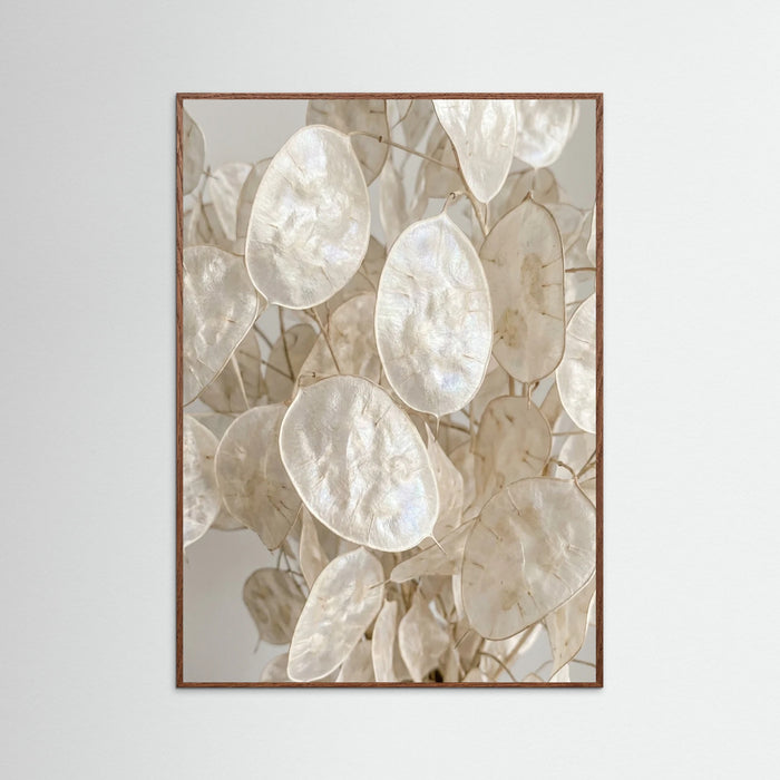 Oak Dark Soft Petal Dreams