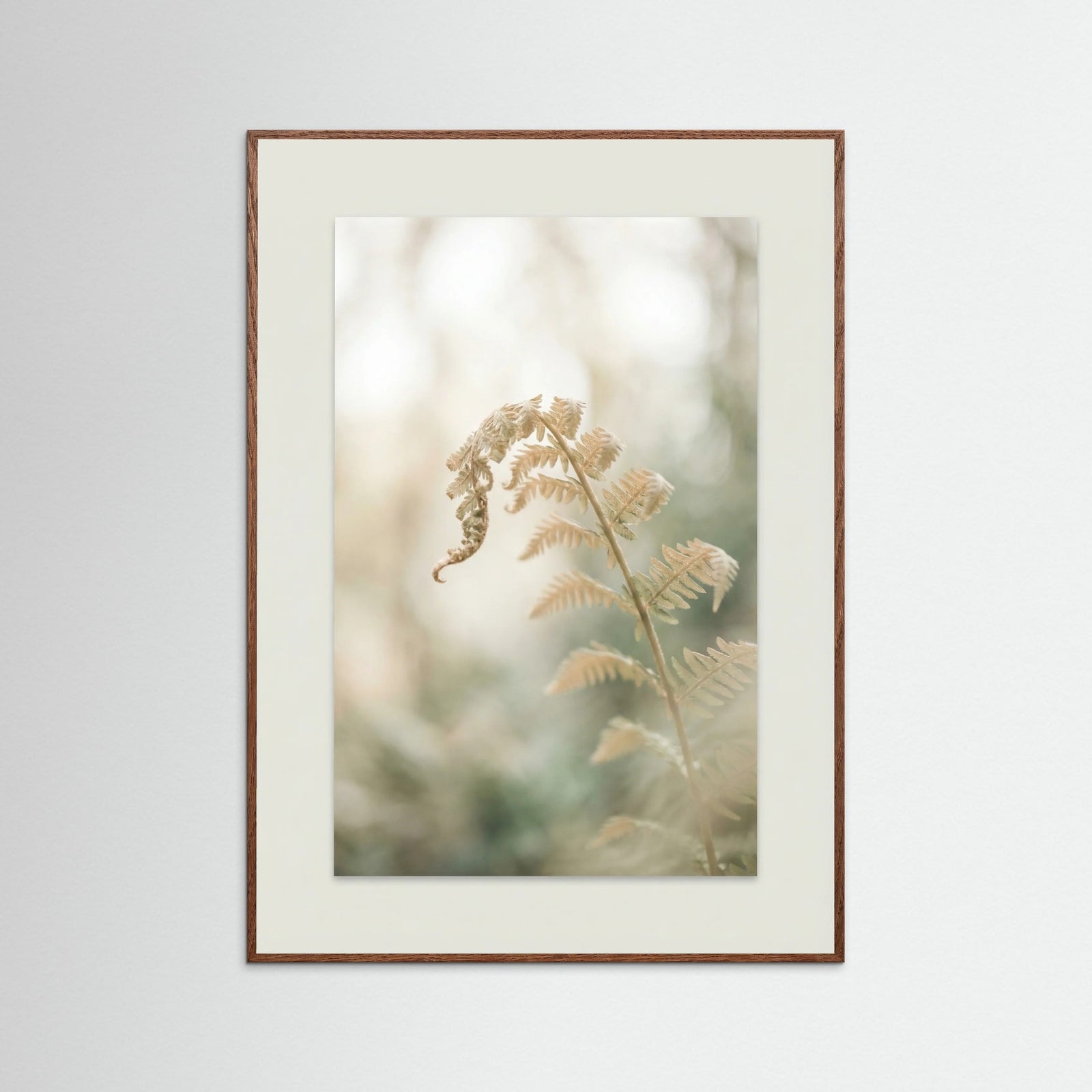 Oak Dark Soft Petals Whispers