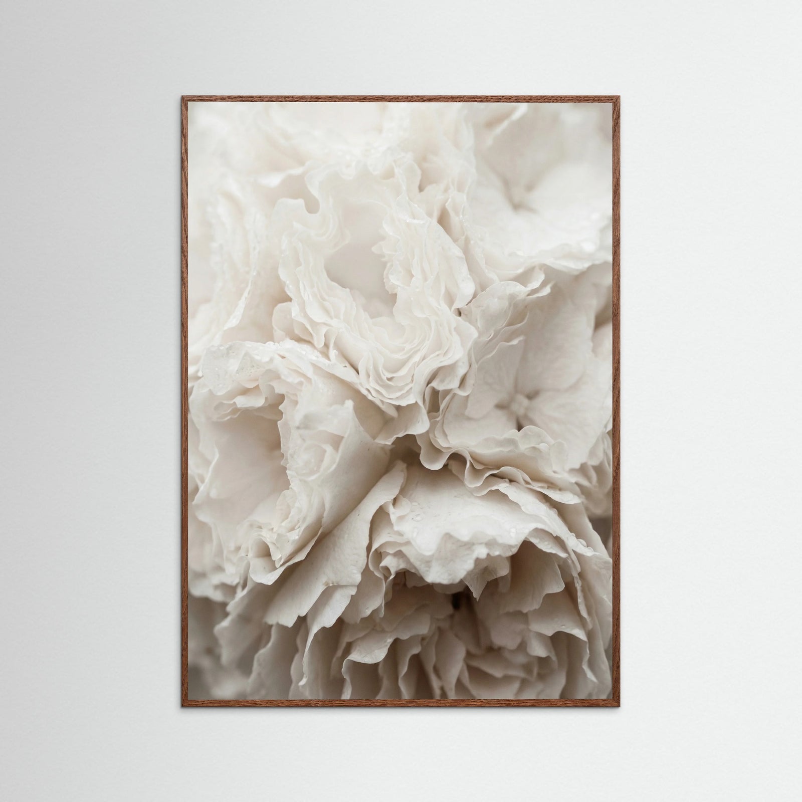 Oak Dark Soft Petals White