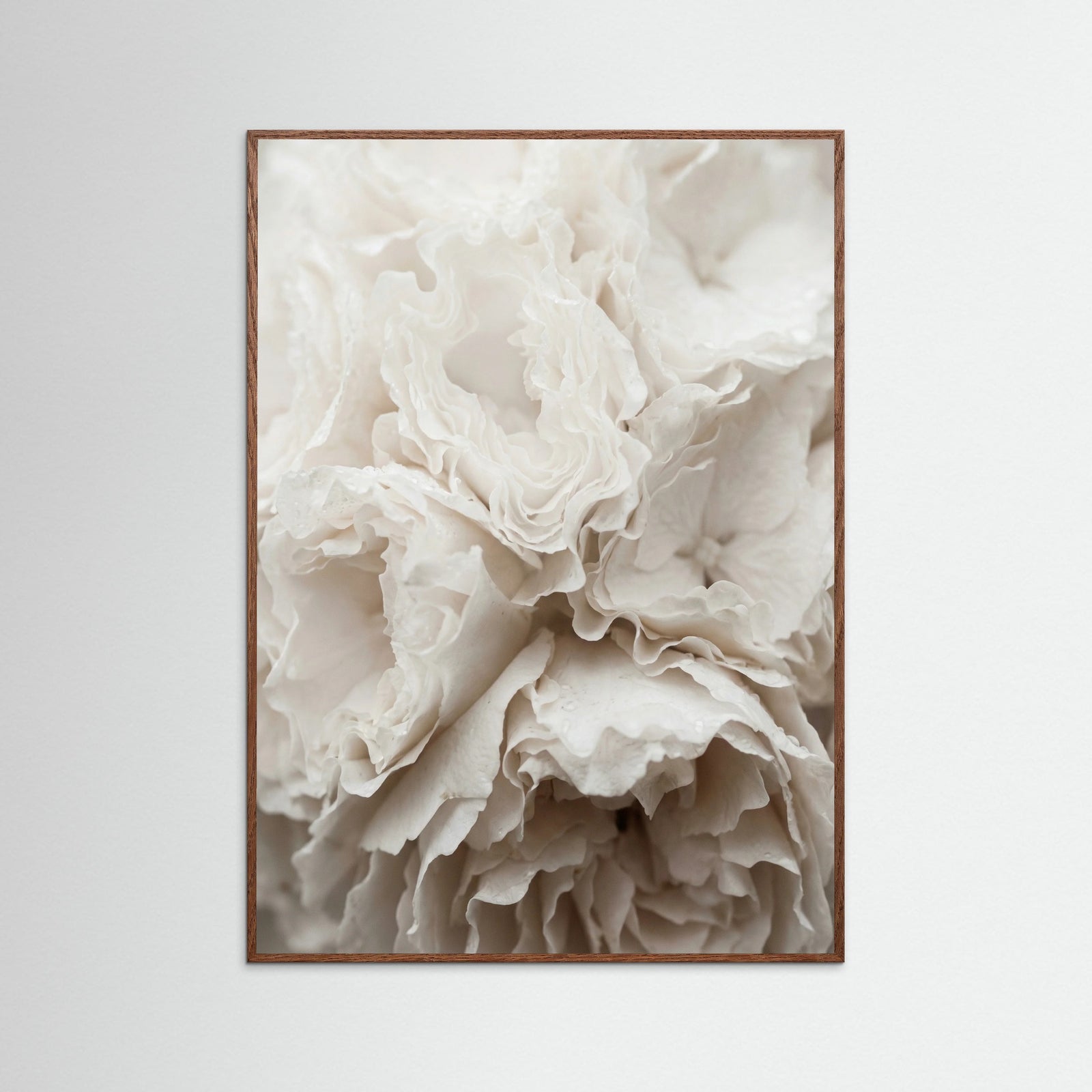 Oak Dark Soft Petals