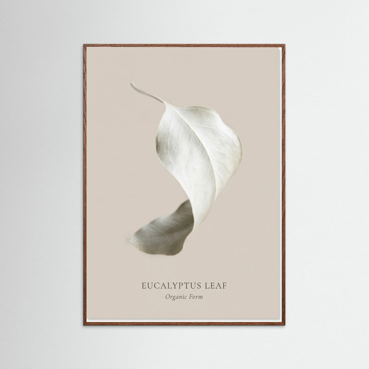 Oak Dark Soft Radiance