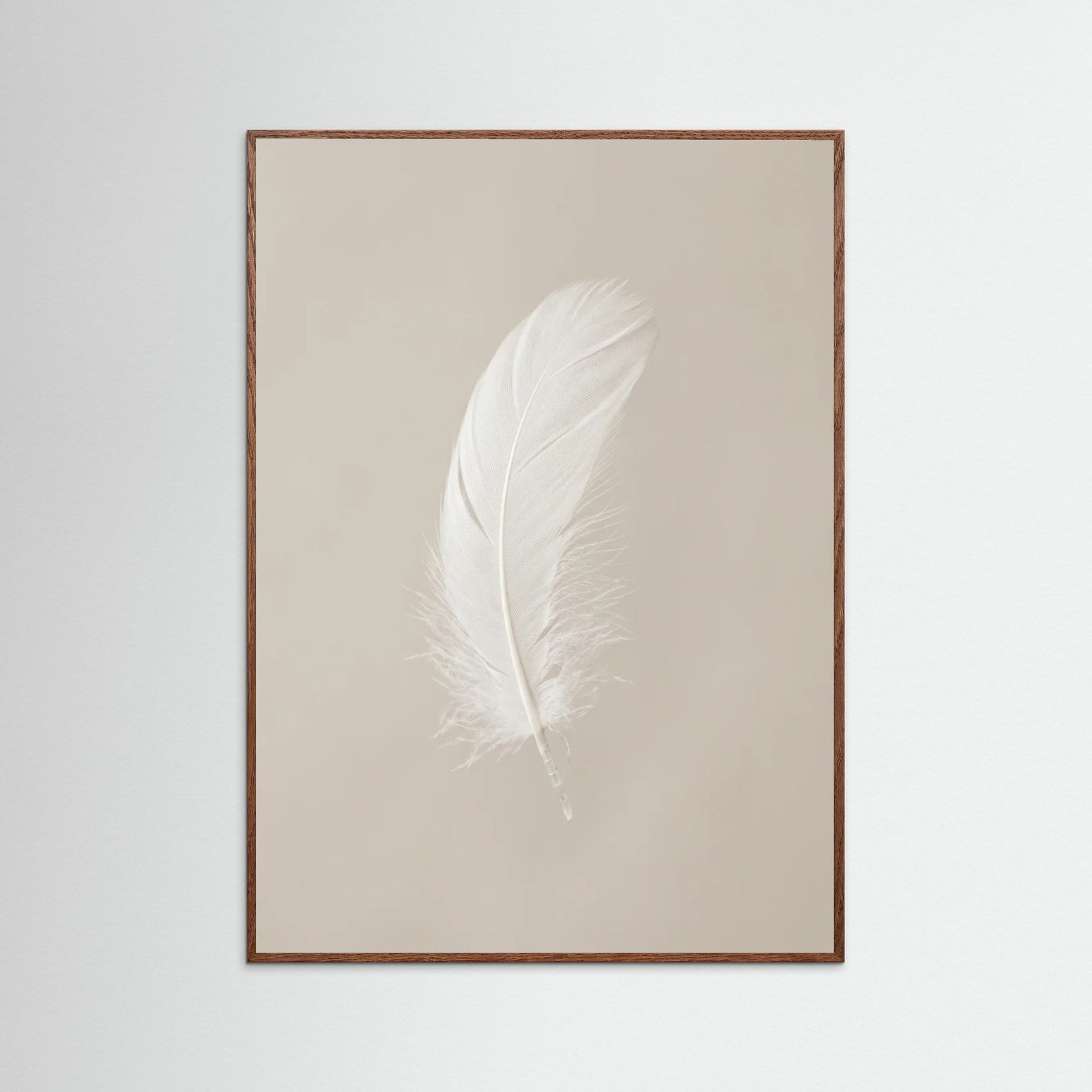 Oak Dark Spring Softness