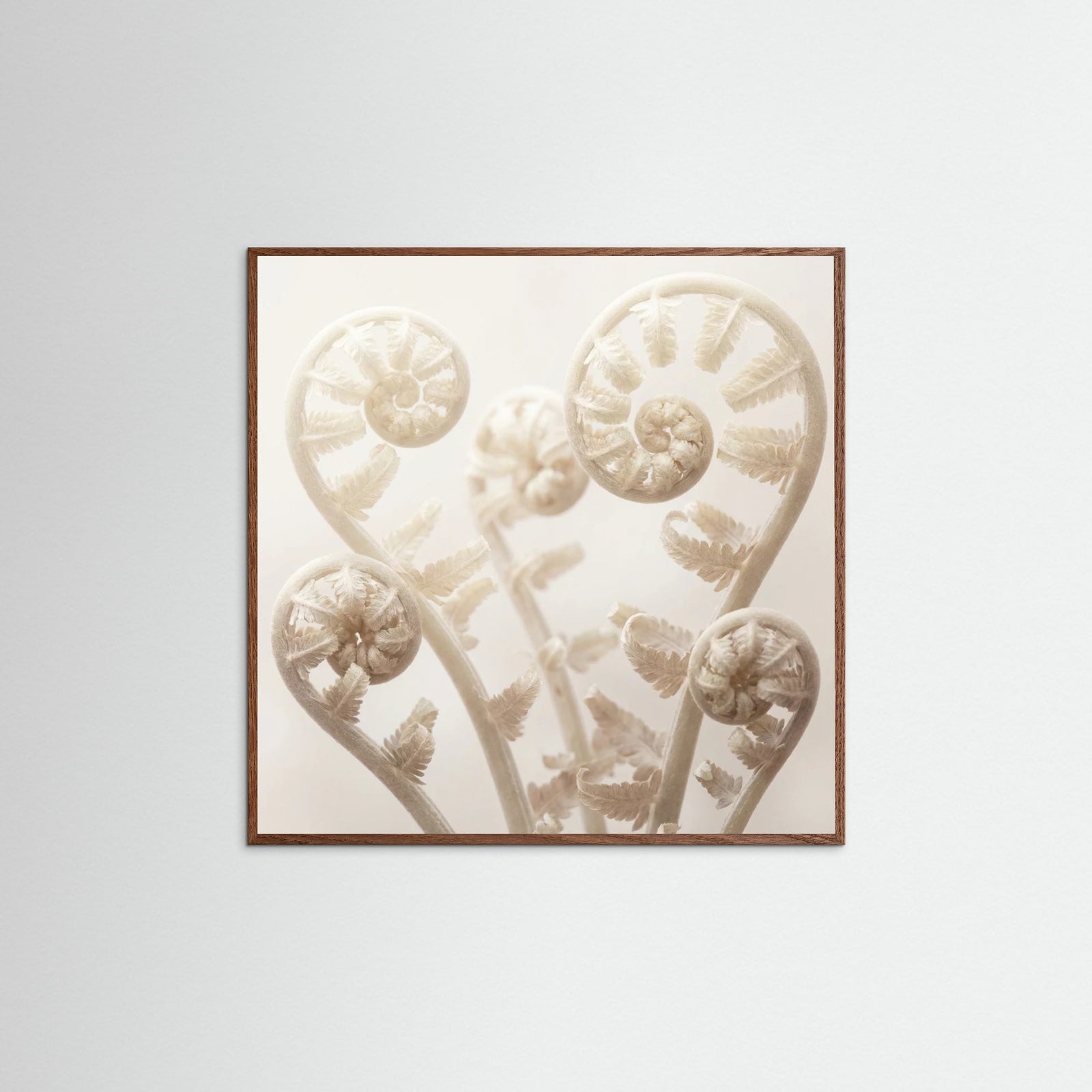 Oak Dark Square Ethereal Bloom