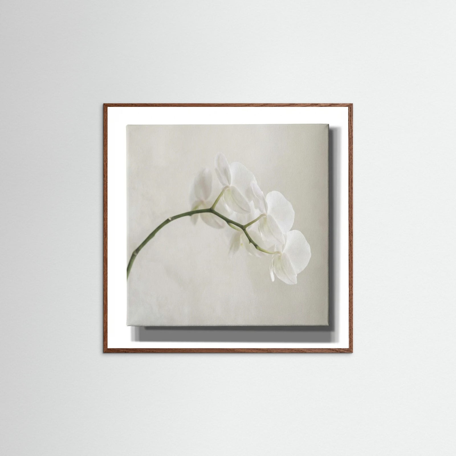 Oak Dark Square Quiet Bloom