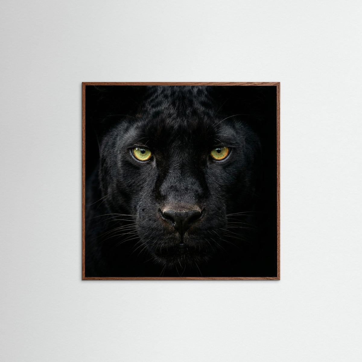 Oak Dark Square The Ponderer