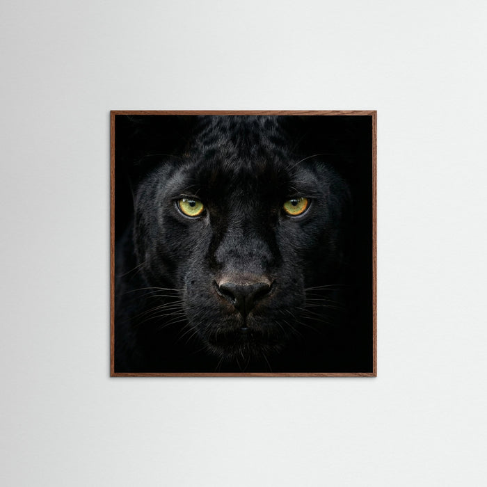 Oak Dark Square The Ponderer