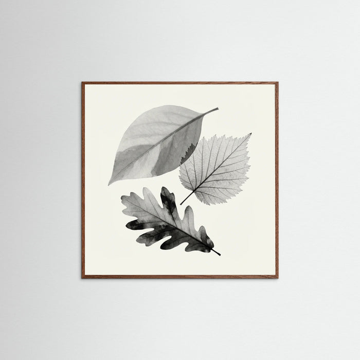 Oak Dark Square Whispering Petals