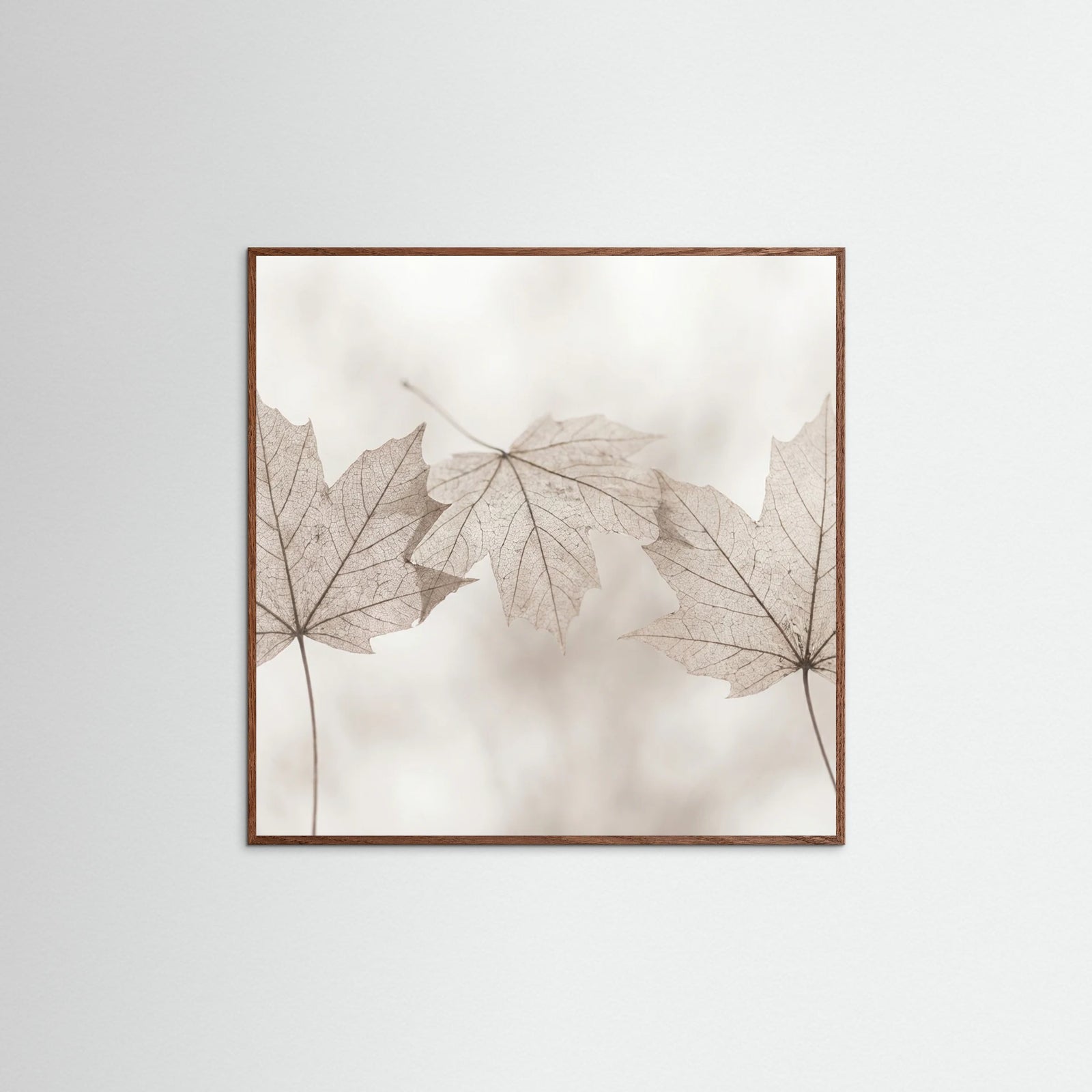 Oak Dark Square Winters Whispers