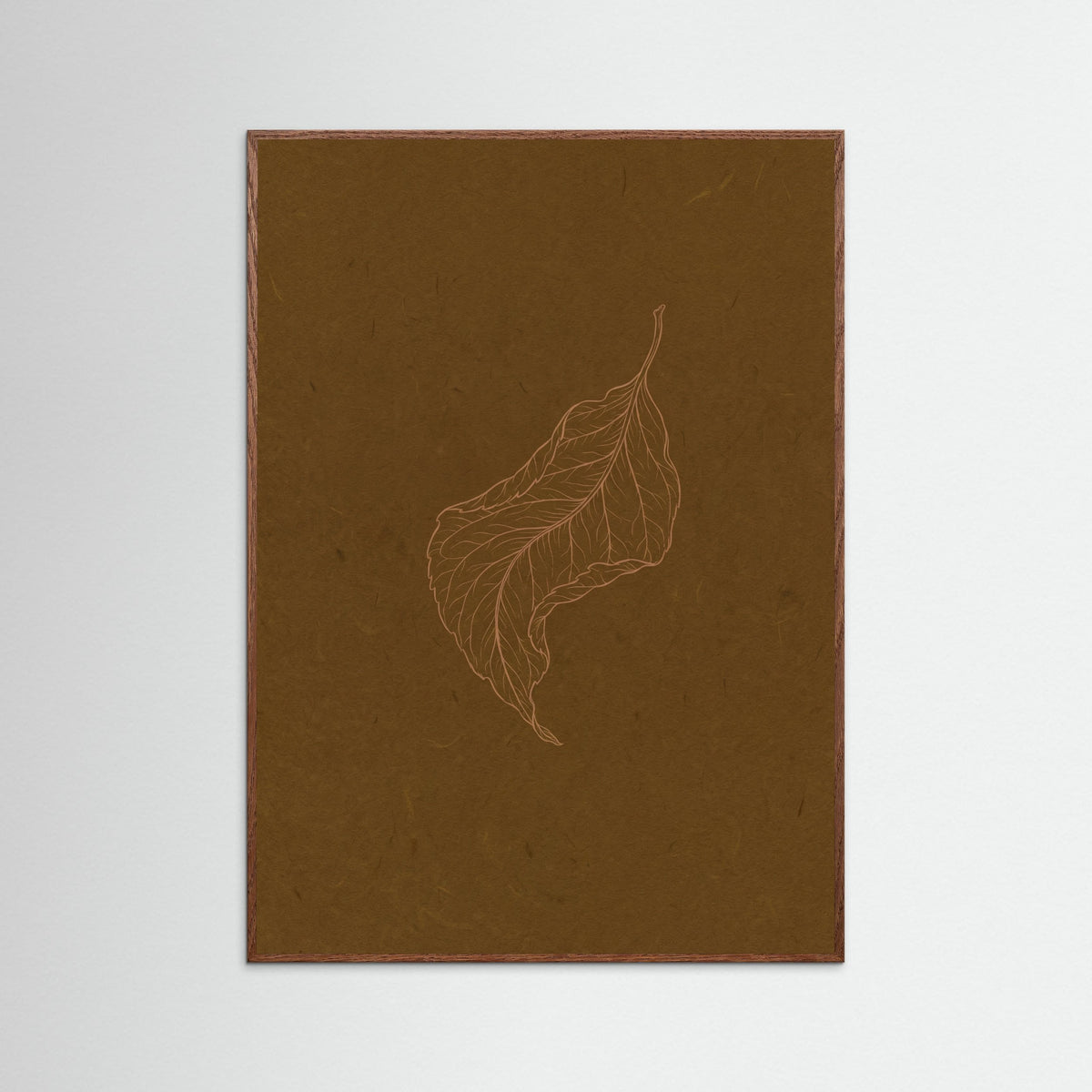 Oak Dark Subtle Entomology