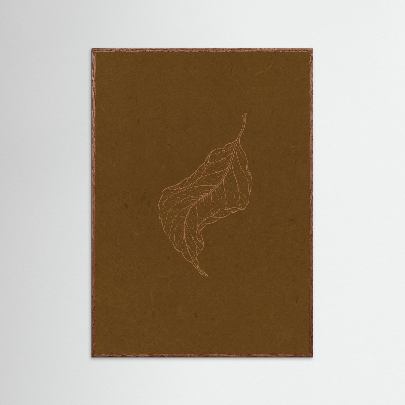 Oak Dark Subtle Entomology