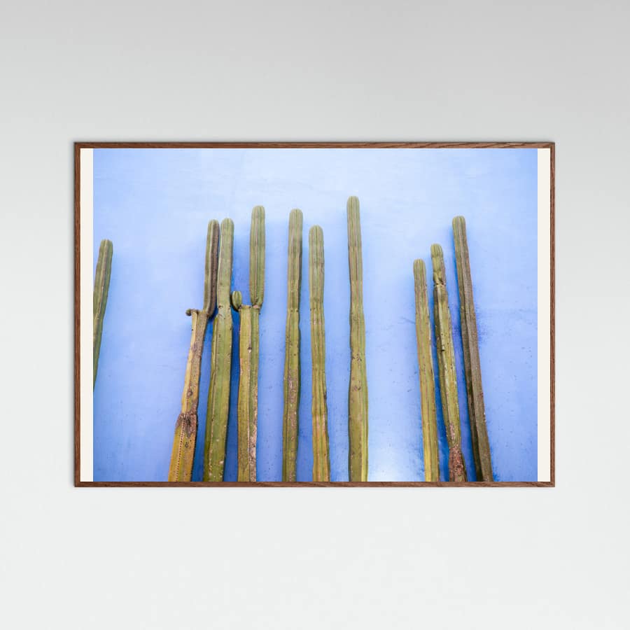 Oak Dark Tall Cacti on Blue | Oaxaca Mexico Travel Poster