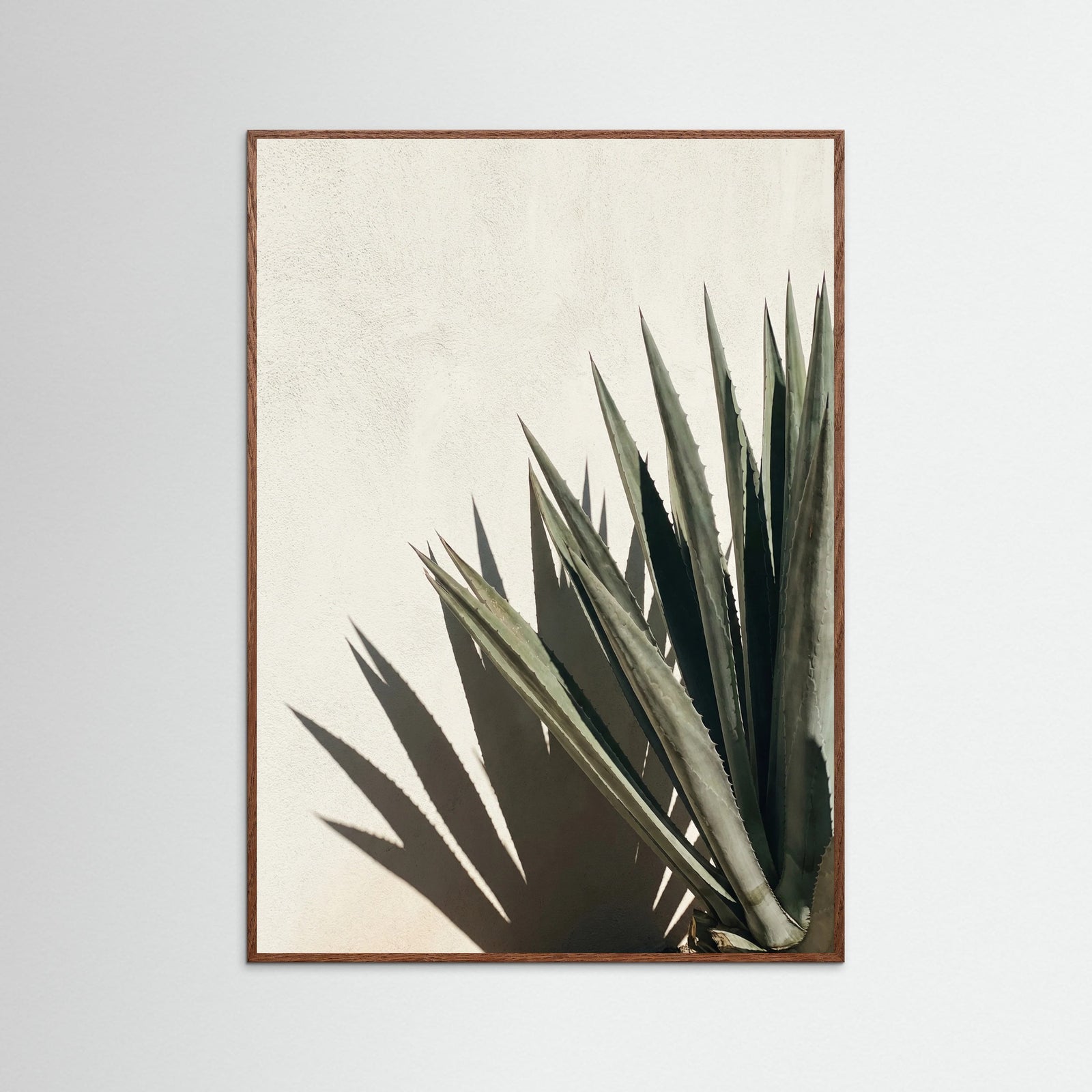 Oak Dark Tropical Shadows