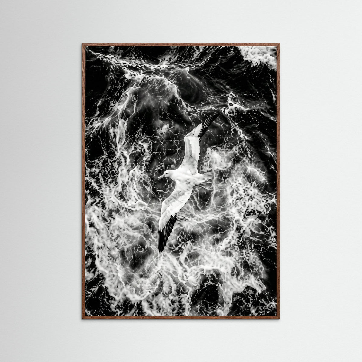Oak Dark Turbulent Flight