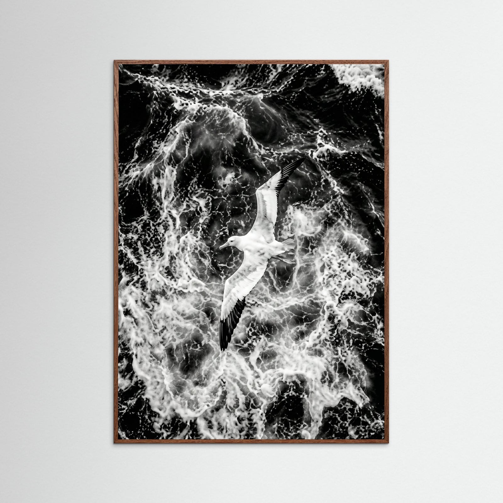 Oak Dark Turbulent Flight