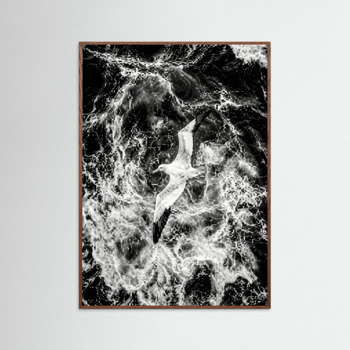 Oak Dark Turbulent Flight