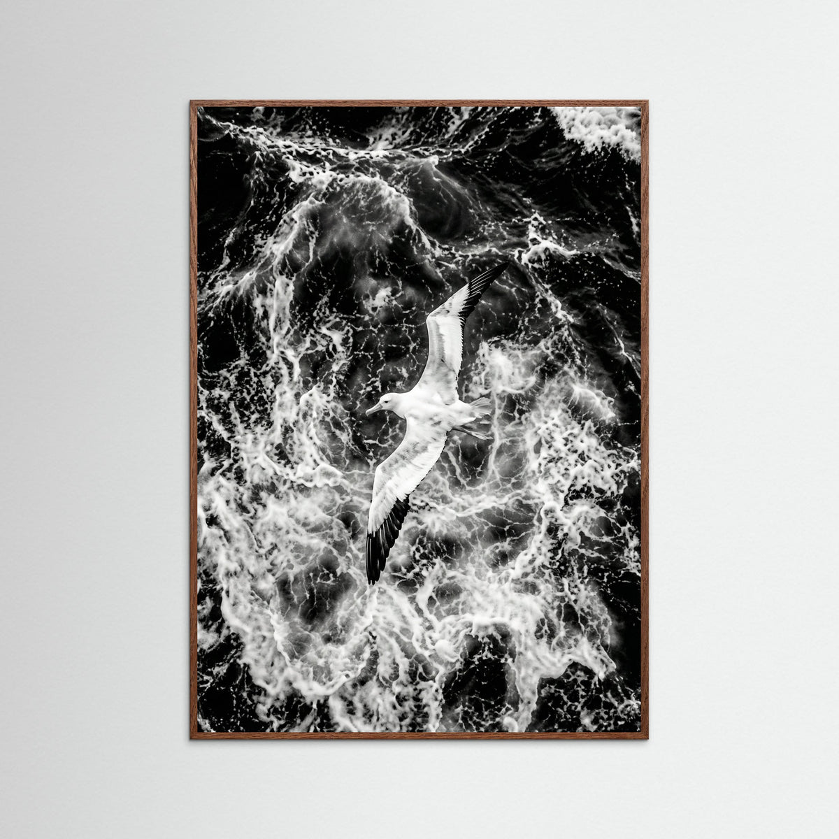 Oak Dark Turbulent Flight