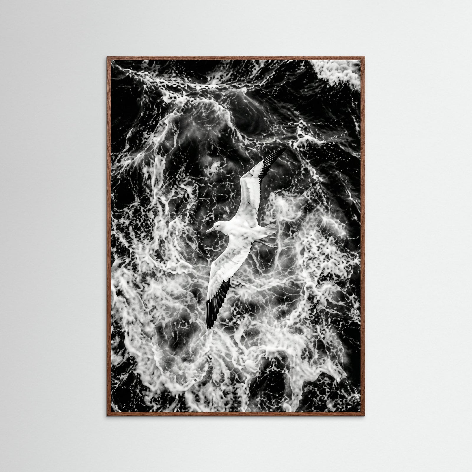 Oak Dark Turbulent Flight