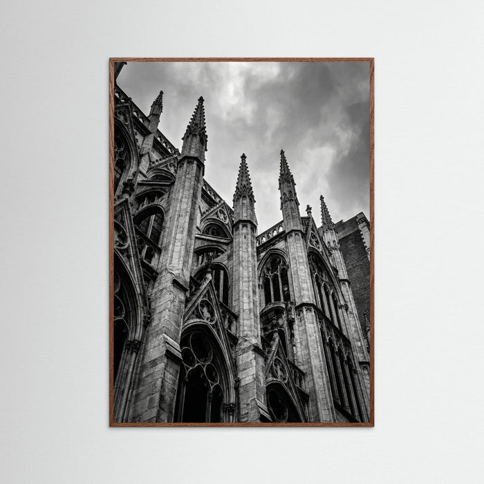 Oak Dark Urban Zenith