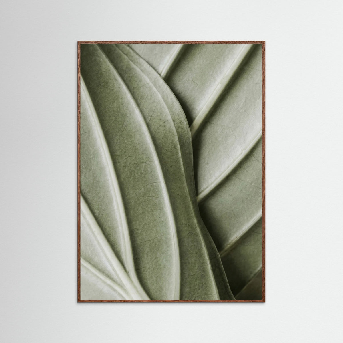 Oak Dark Verdant Folds