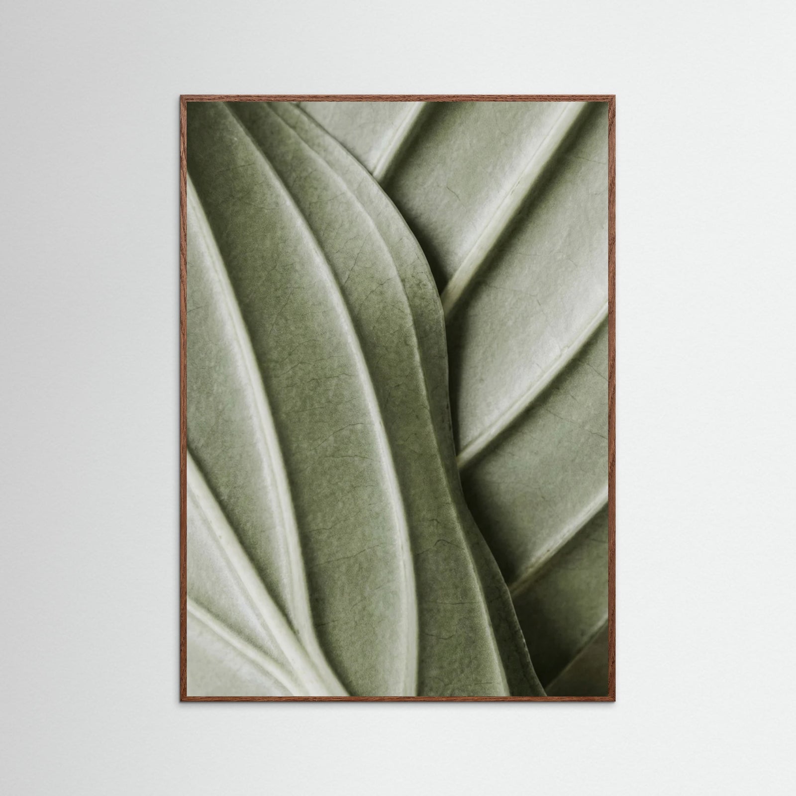 Oak Dark Verdant Folds